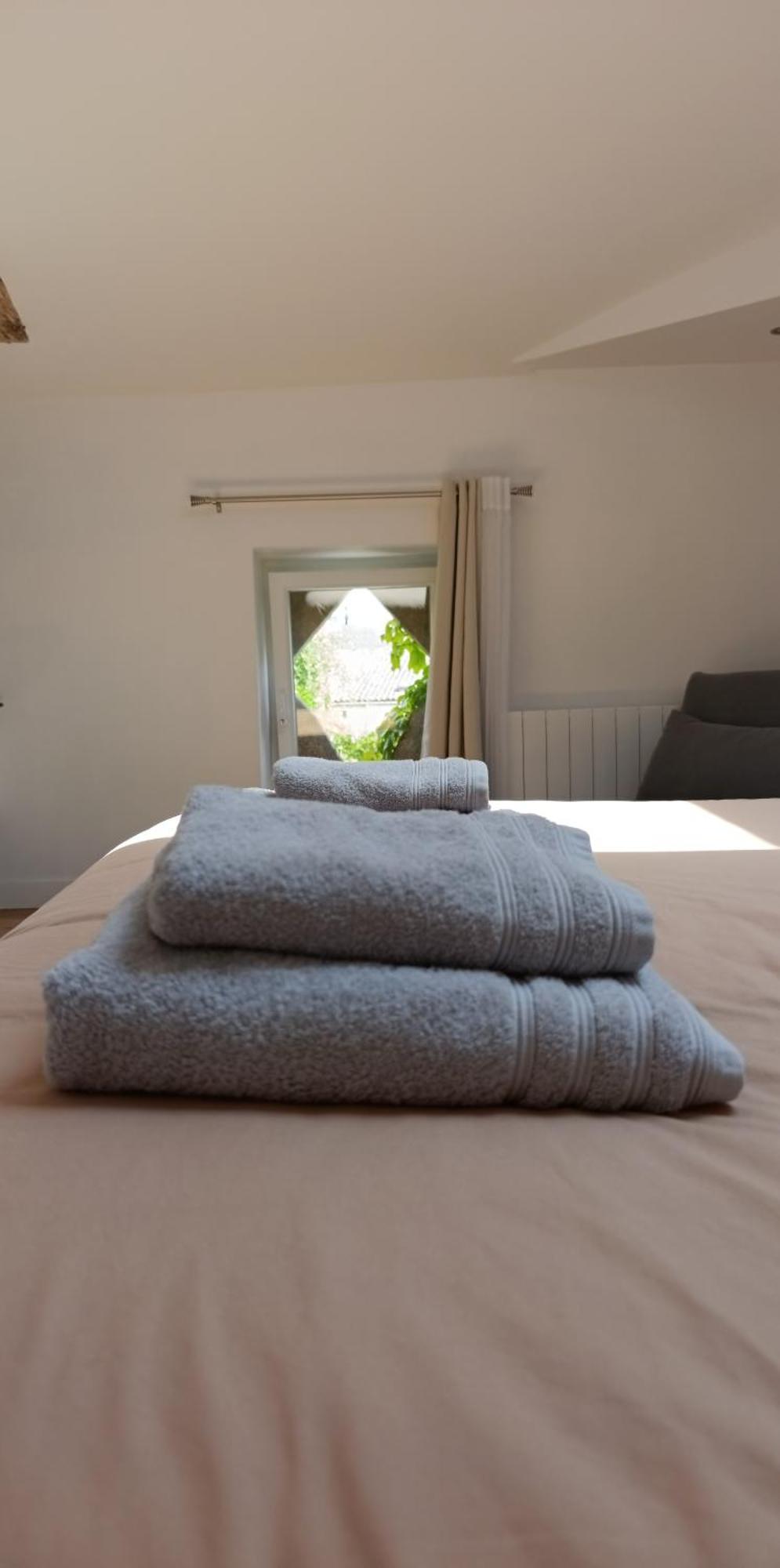 Maison Irondas Saint-Pierre-d'Aurillac エクステリア 写真